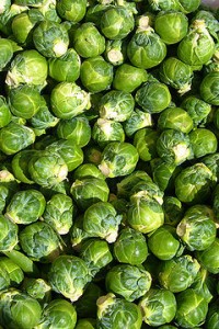 FileBrussels_sprout_closeup